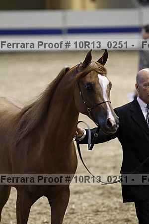 Proof Number 10r13_0251
