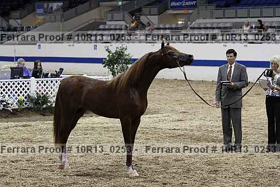 Proof Number 10r13_0253