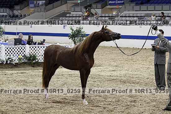 Proof Number 10r13_0259