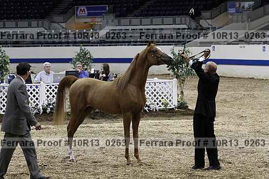Proof Number 10r13_0263
