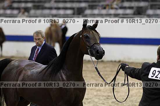 Proof Number 10r13_0270