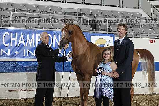 Proof Number 10r13_0272