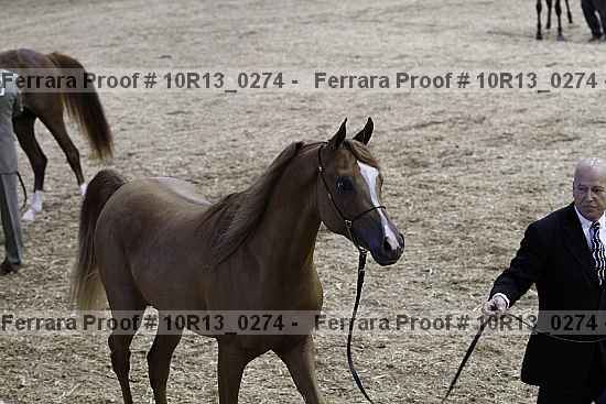 Proof Number 10r13_0274