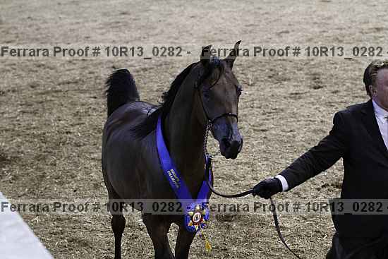 Proof Number 10r13_0282