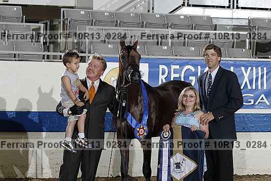 Proof Number 10r13_0284