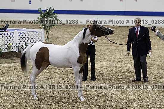 Proof Number 10r13_0288