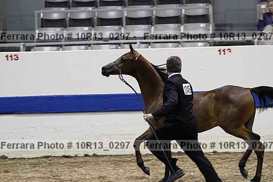 Proof Number 10r13_0297