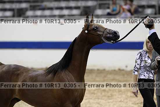 Proof Number 10r13_0305