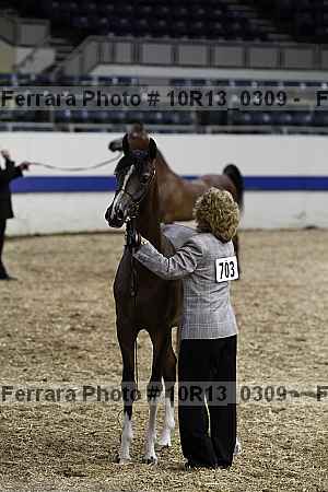 Proof Number 10r13_0309