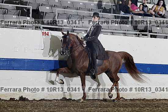 Proof Number 10r13_0341
