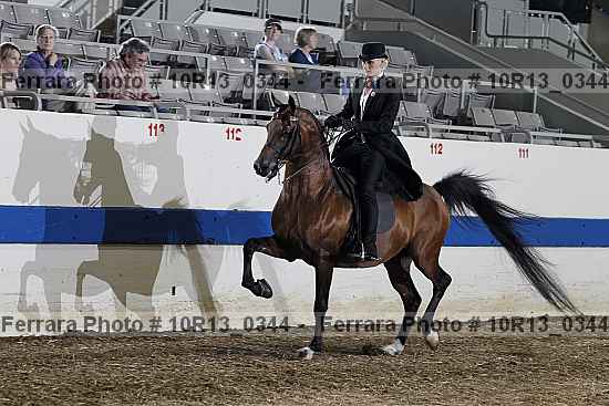 Proof Number 10r13_0344