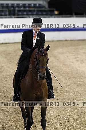 Proof Number 10r13_0345