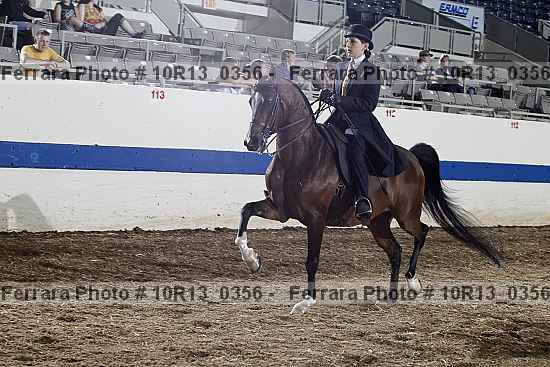 Proof Number 10r13_0356