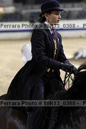 Proof Number 10r13_0368