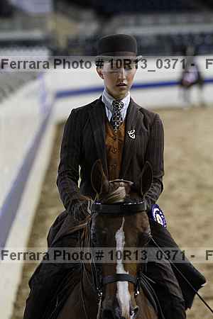 Proof Number 10r13_0371