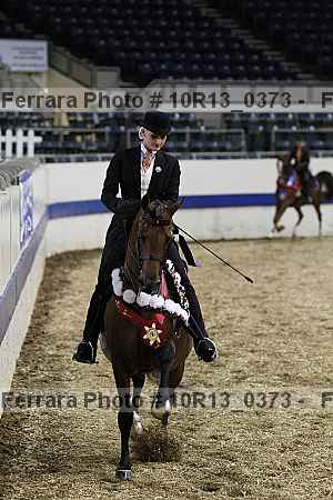Proof Number 10r13_0373