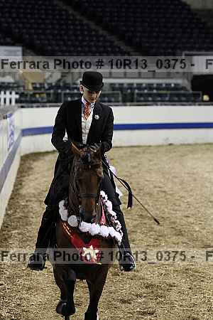 Proof Number 10r13_0375