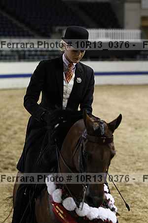 Proof Number 10r13_0376