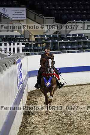 Proof Number 10r13_0377