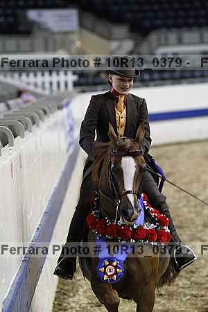 Proof Number 10r13_0379