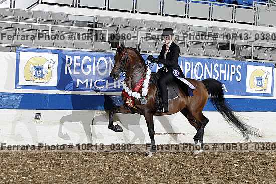 Proof Number 10r13_0380