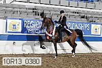 10r13_0380 thumbnail