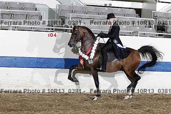 Proof Number 10r13_0381