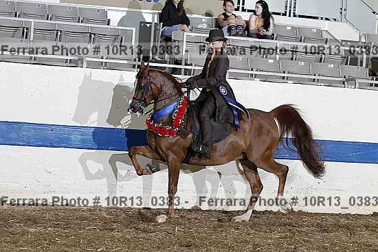 Proof Number 10r13_0383