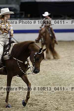 Proof Number 10r13_0411