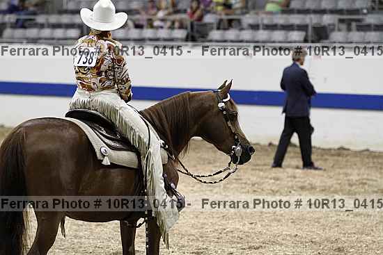 Proof Number 10r13_0415