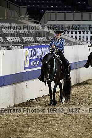Proof Number 10r13_0427