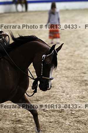 Proof Number 10r13_0433