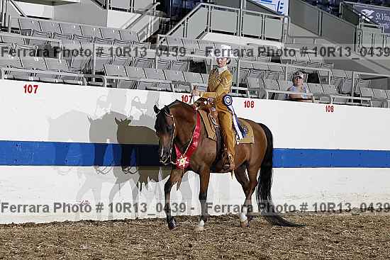 Proof Number 10r13_0439