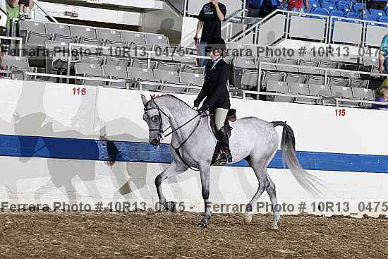 Proof Number 10r13_0475