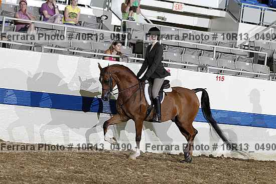 Proof Number 10r13_0490
