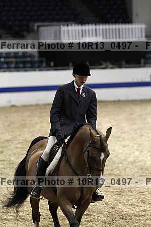 Proof Number 10r13_0497