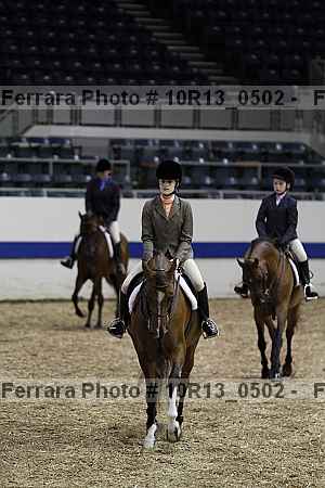 Proof Number 10r13_0502