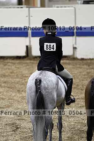 Proof Number 10r13_0504
