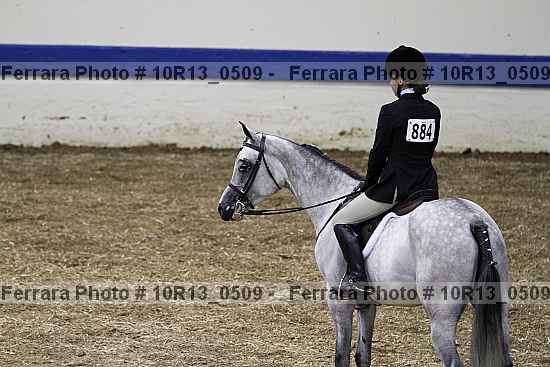 Proof Number 10r13_0509
