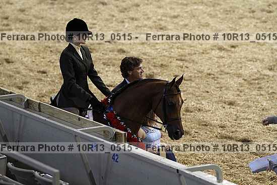 Proof Number 10r13_0515