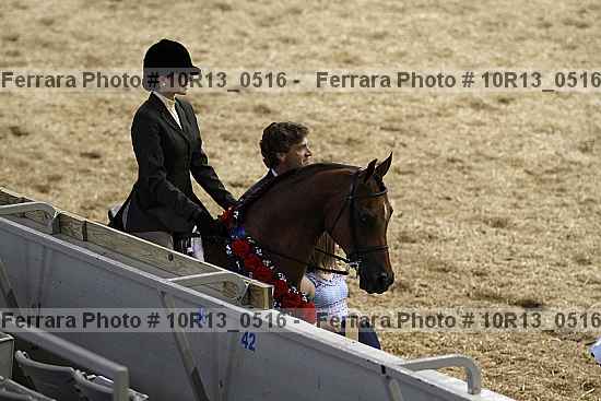 Proof Number 10r13_0516