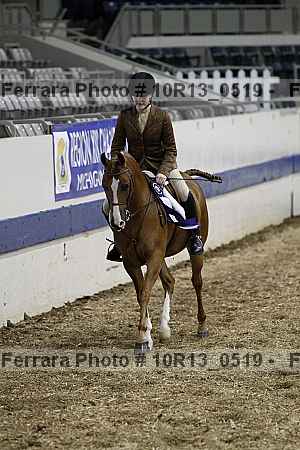 Proof Number 10r13_0519