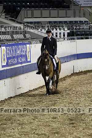 Proof Number 10r13_0523