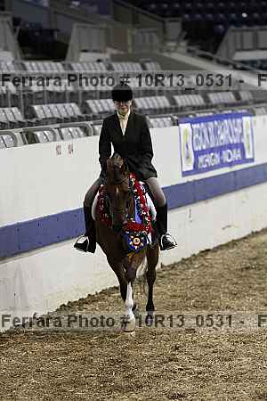 Proof Number 10r13_0531