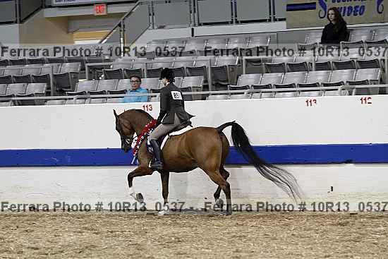 Proof Number 10r13_0537