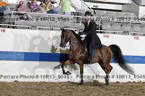 Proof Number 10r13_0546