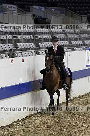Proof Number 10r13_0569
