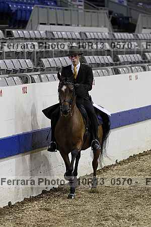 Proof Number 10r13_0570