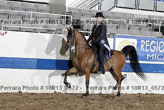 Proof Number 10r13_0572