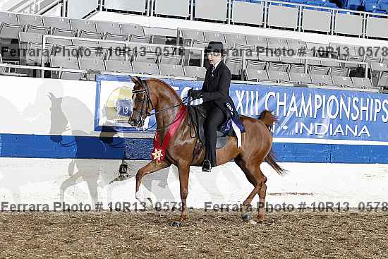 Proof Number 10r13_0578